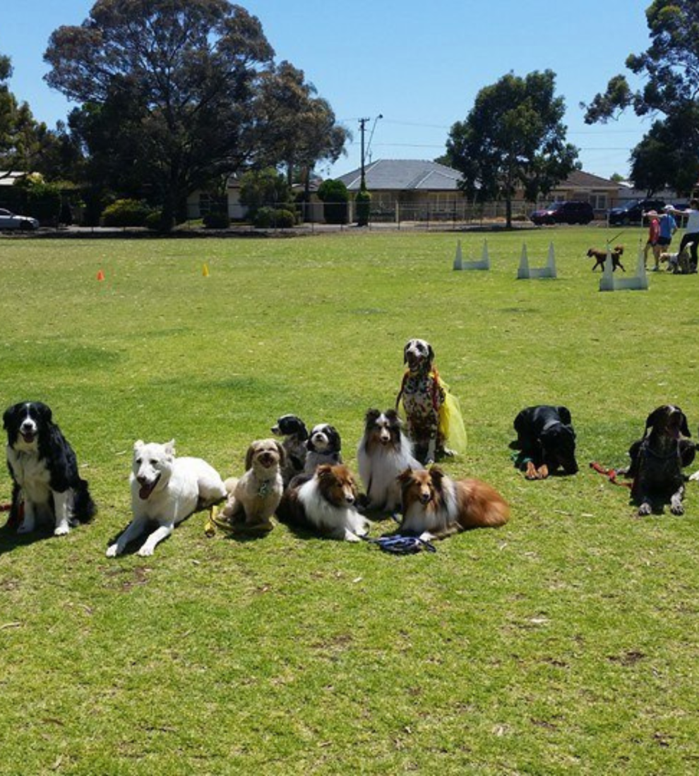 Untitled design (53)